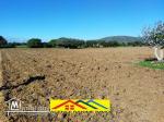 Ferme de 1 hect+5000m2 a el haouaria cap bon