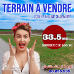 terrain à vendre 20.255.535