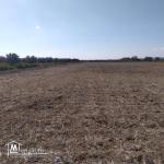 terrain à vendre 20.255.535