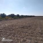 terrain à vendre 20.255.535