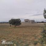 terrain à vendre 20.255.535