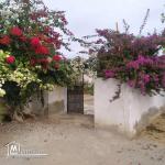 terrain à vendre 20.255.535