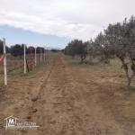 terrain à vendre 20.255.535