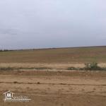 terrain à vendre 20.255.535