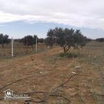 terrain à vendre 20.255.535