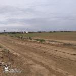 terrain à vendre 20.255.535