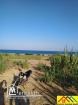 Lot de terrain de 267m2 a la plage el haouaria cap bon