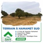 terrain à vendre 20.255.535
