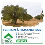terrain à vendre 20.255.535