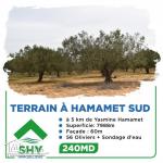 terrain à vendre 20.255.535