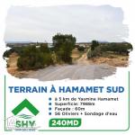 terrain à vendre 20.255.535