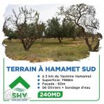 terrain à vendre 20.255.535
