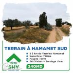terrain à vendre 20.255.535