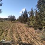 terrain à vendre 20.255.535