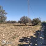 terrain à vendre 20.255.535