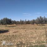 terrain à vendre 20.255.535