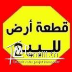 أرض على الطريق الوطنية تونس الحمامات الياسمين