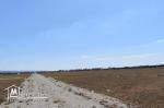 terrain à vendre 20.255.535
