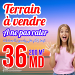 terrain à vendre 20.255.535