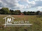 vente de terrain à manzel abed rahmen