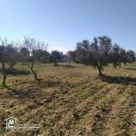 terrain  à vendre 20.255.535