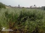 A vendre terrain 1700m2 a borj twil sidi youness