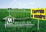 A Vendre-terrain 500m²-Hammamet sud  29256216
