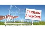 Terrain à Manouba pour Promoteur