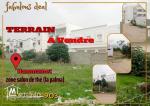 terrain à #Hammamet zone #salon_de_thé (la palma) ????????