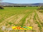 Terrain agricole de 2 hects 6605m2 a el haouaria