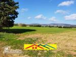 Terrain agricole de 2 hects 6605m2 a el haouaria