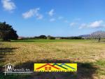 Terrain agricole de 2 hects 6605m2 a el haouaria