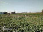 Terrain à vendre à Medjez El Bab