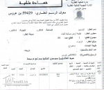 vente terrain titré à EZZAHRA