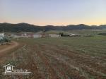 deux hectares disponibles pour la vente Hammamet Yasmine