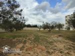 terrain met a la vente  hammamet yasmine