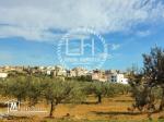 terrain a vendre de  hamammet yasmine