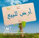 أرض للبيع بطريق منزل شاكر