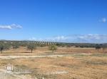 Terrain constructible à bas prix à Hammamet sud