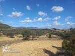 Terrain agricole à vendre à Hammamet sud