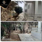 A VENDRE une Villa à EL Menzah 4 située dans un quartier calme et résidentiel.