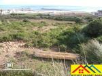 Lots des terrains de 583m2 et 250m2 a la plage el haouaria