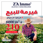 jolie ferme à vendre