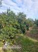 TERRAIN AGRICOLE  DE 6 HECTARES A VENDRE