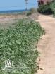 terrain pres de la plage 500m