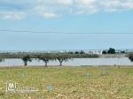 Terrain à vendre à Hammamet sud avec vue panoramique mer