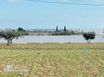 Terrain à vendre à Hammamet sud avec vue panoramique mer