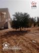 Terrain Agricole Ksar Daghara à Vendre à Remada