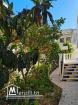 villa à vendre à Tboulba