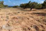 Terrain a vendre a teboulba monastir
